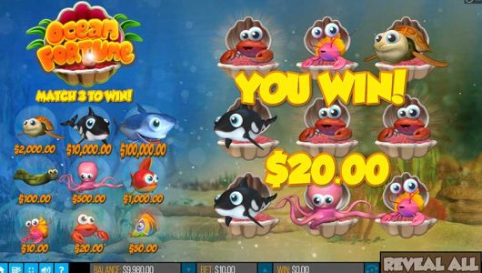 Ocean Fortune featured image