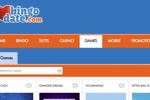 bingo date featured 857x500